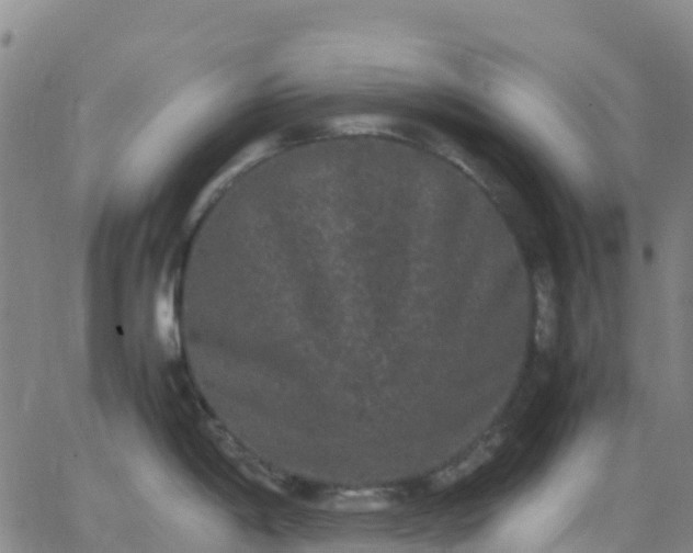 X0000062831198200601201605