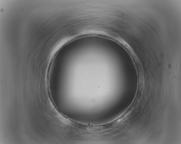 X0000062831199200601201605