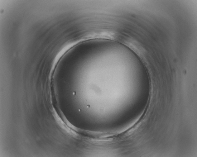 X0000062831200200601201605