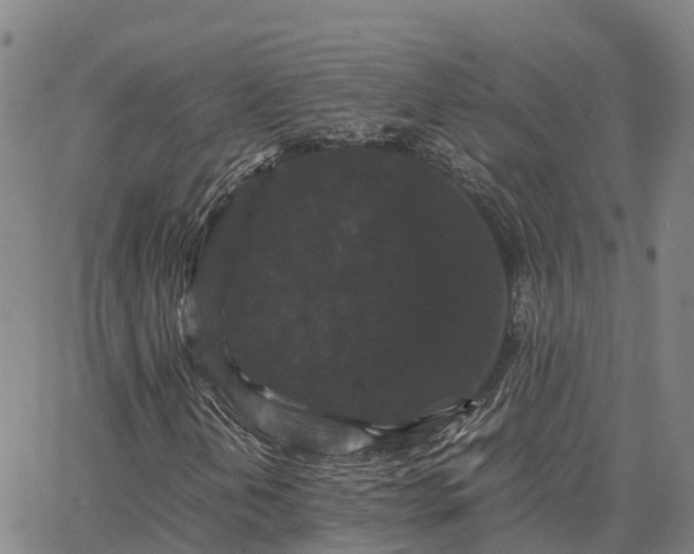 X0000062831202200601201604