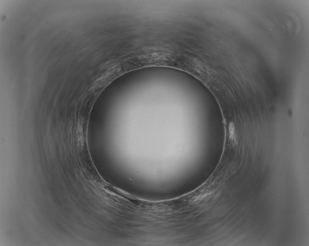 X0000062831203200601201604