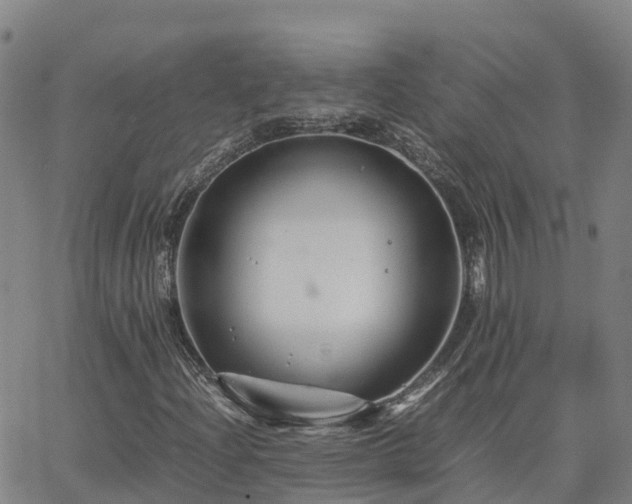 X0000062831204200601201604