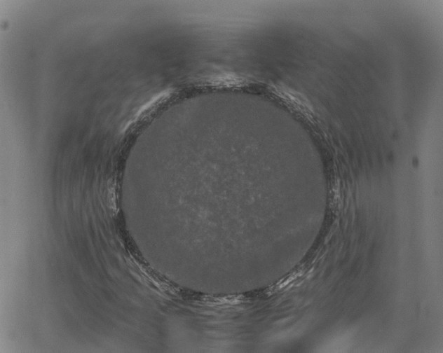 X0000062831205200601201604