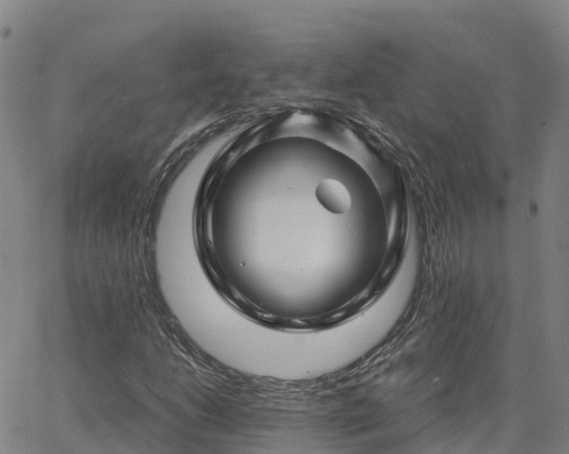 X0000062831206200601201604