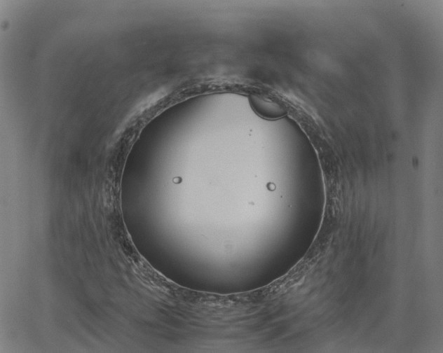 X0000062831207200601201604