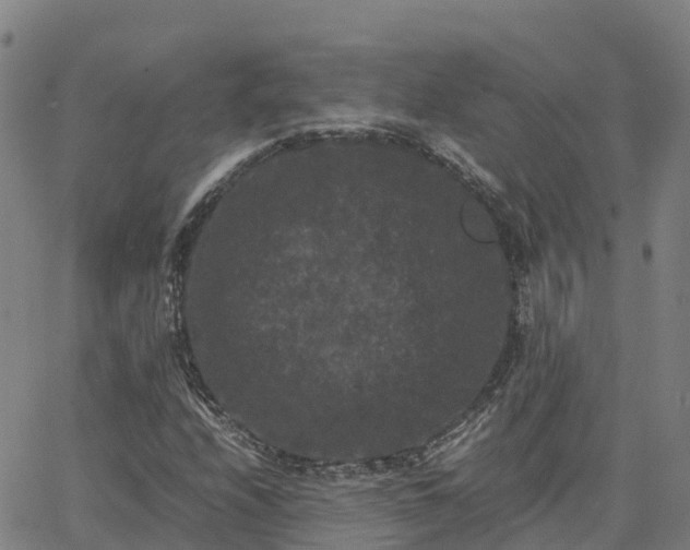 X0000062831208200601201604