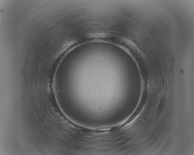 X0000062831209200601201604