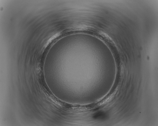 X0000062831210200601201604