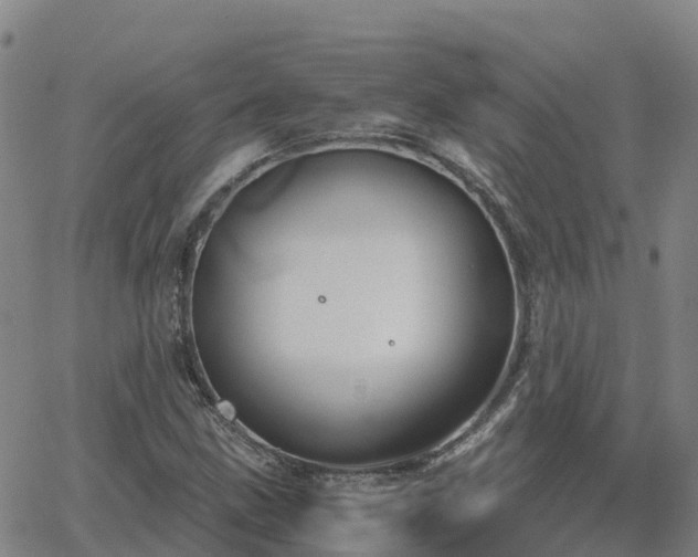 X0000062831211200601201604