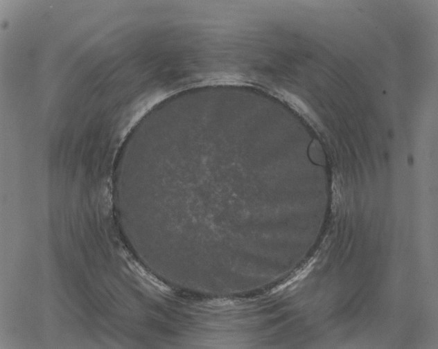 X0000062831212200601201604