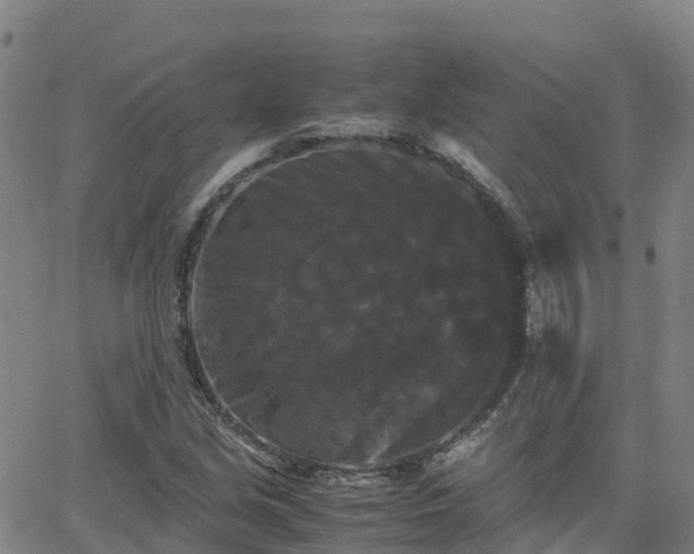 X0000062831213200601201604