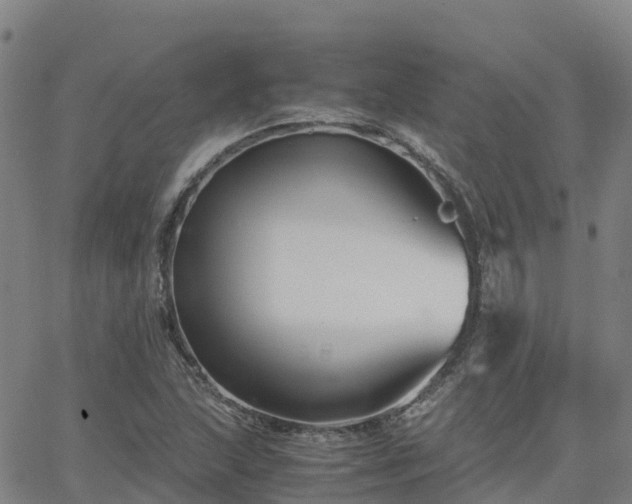 X0000062831215200601201604