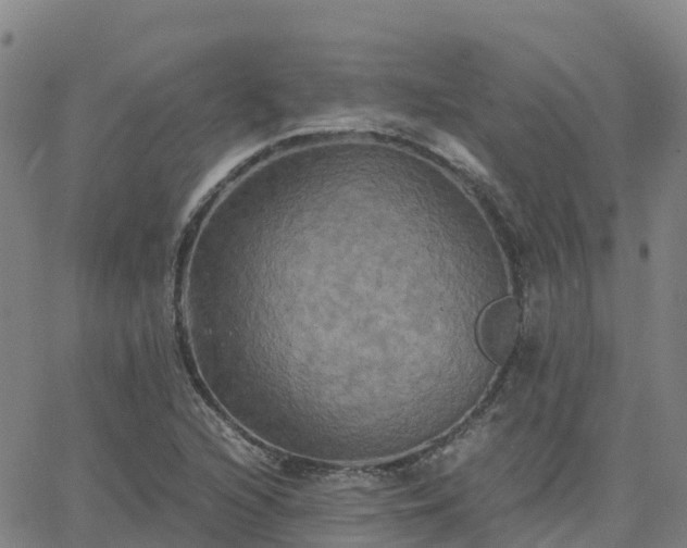 X0000062831216200601201604