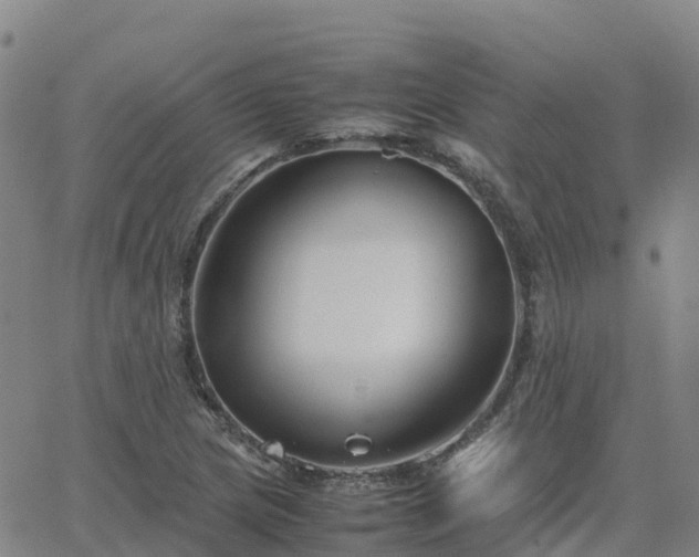 X0000062831217200601201604