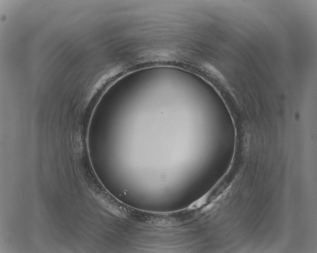 X0000062831218200601201604