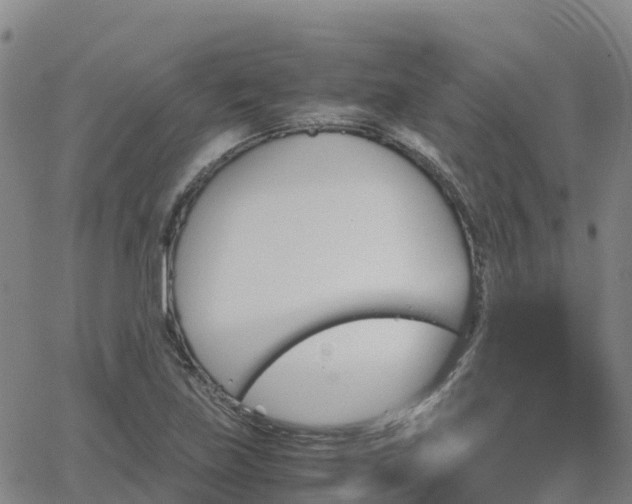 X0000062831219200601201604