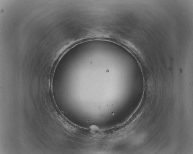 X0000062831220200601201604