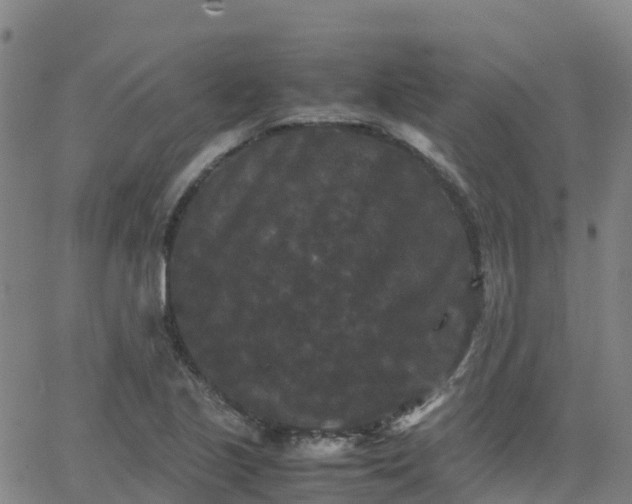 X0000062831221200601201604