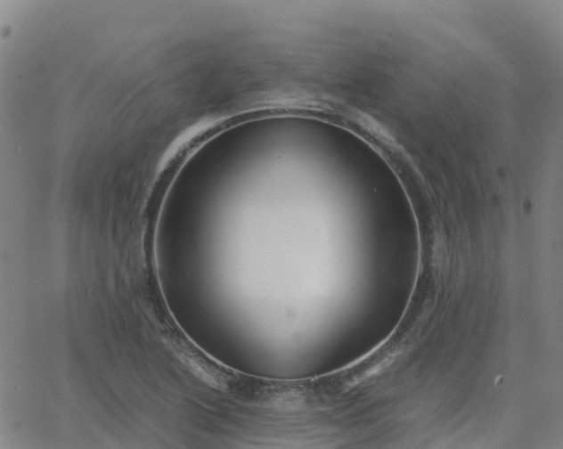 X0000062831222200601201604