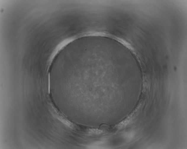 X0000062831223200601201604