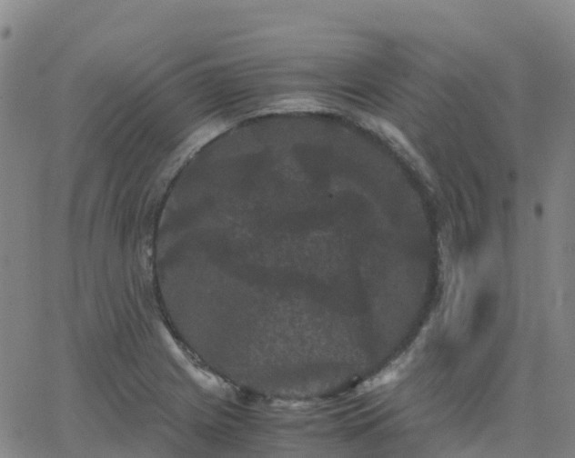 X0000062831225200601201604