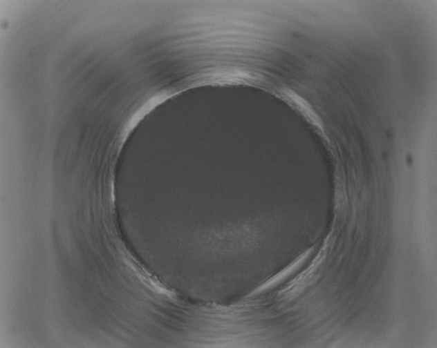 X0000062831226200601201604