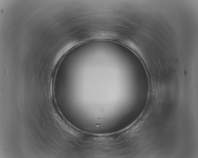 X0000062831227200601201604