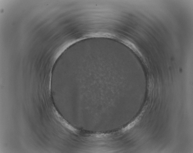 X0000062831228200601201604