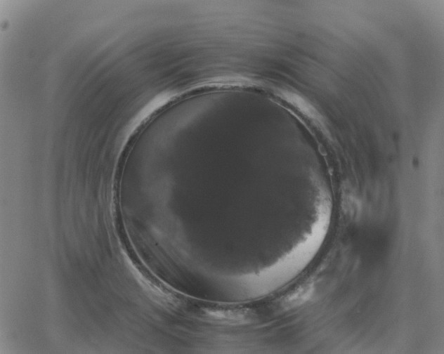 X0000062831229200601201604