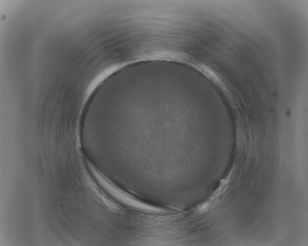 X0000062831230200601201604