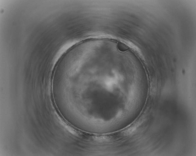 X0000062831231200601201604