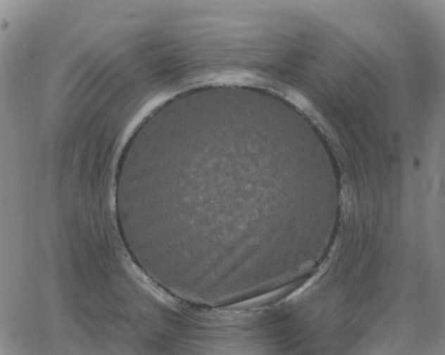 X0000062831232200601201604