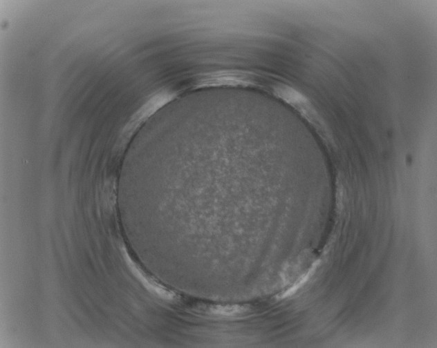 X0000062831233200601201604