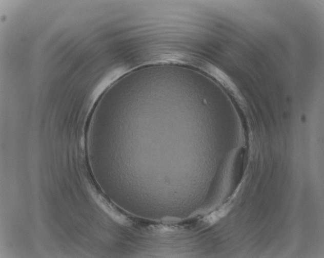 X0000062831234200601201604