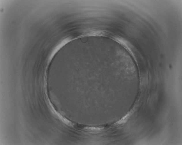 X0000062831235200601201604