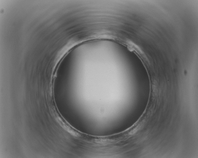 X0000062831236200601201604