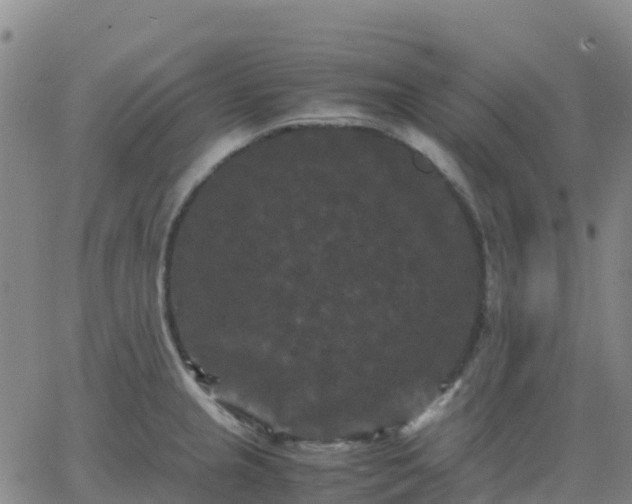 X0000062831237200601201604