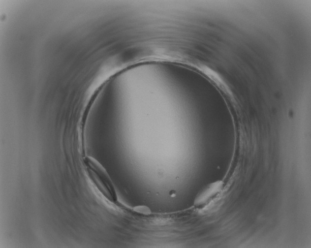 X0000062831238200601201604