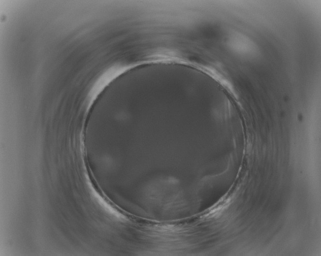 X0000062831239200601201604