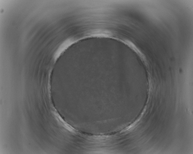 X0000062831240200601201604