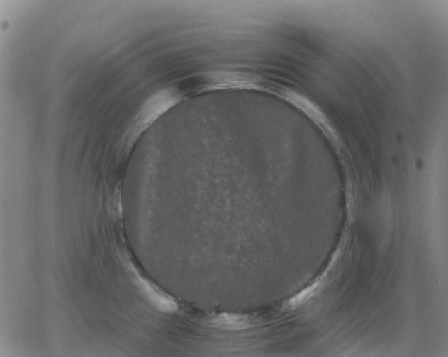 X0000062831241200601201605