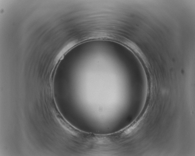 X0000062831242200601201605