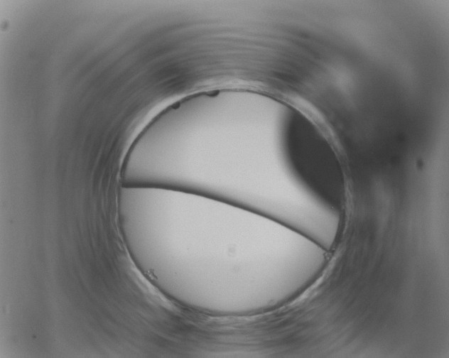 X0000062831244200601201605