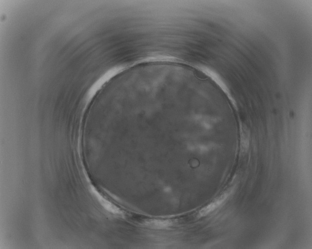 X0000062831245200601201605