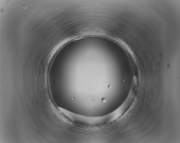 X0000062831246200601201605