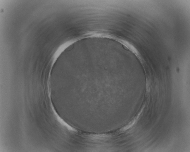 X0000062831247200601201605