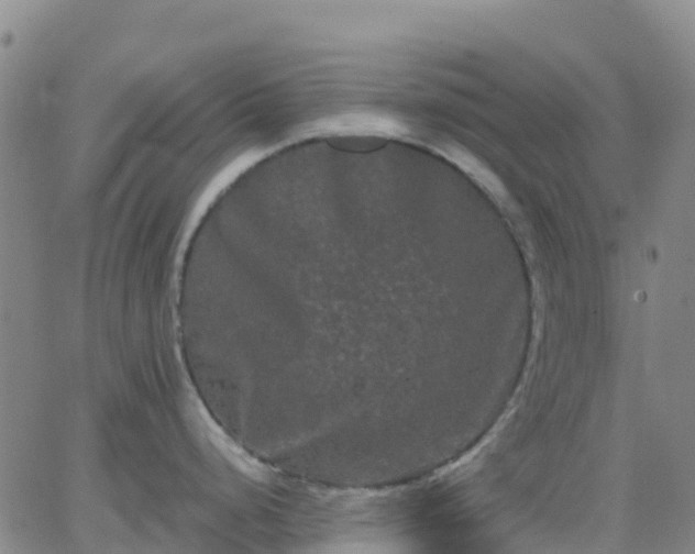 X0000062831248200601201605