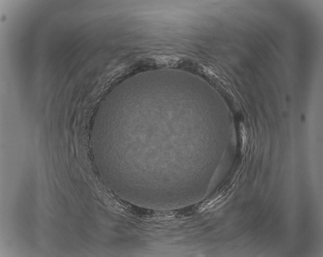 X0000062831249200601201604