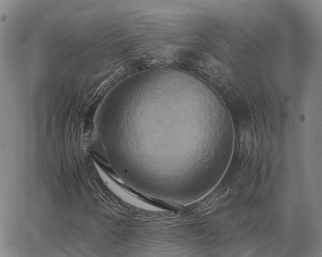 X0000062831250200601201604