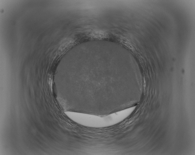 X0000062831251200601201604